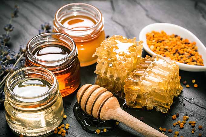 May 1st Honey Tasting